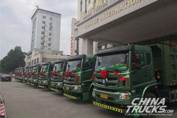 Sinotruk CDW Sold 100 Units Lishi 6*4 Engineering Trucks
