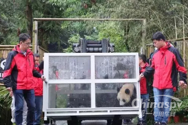Gallop Delivers Pandas to Russia