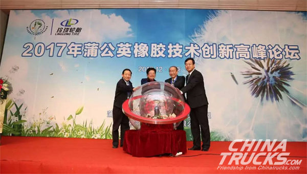 Linglong Focused On Dandelion Rubber Development