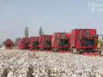 Cotton Picker Equipped with WP17 Engine Work Efficiently