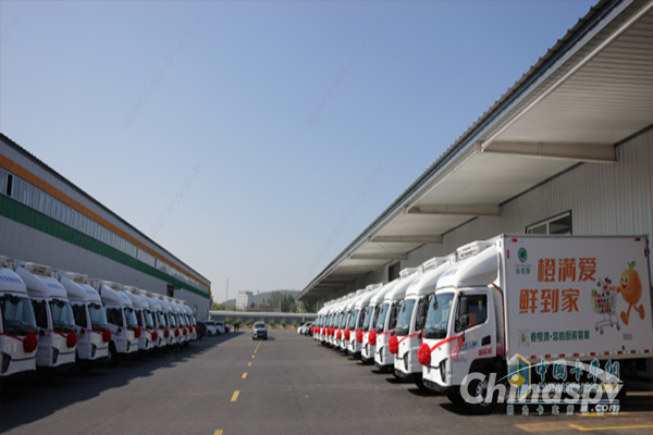Zero-meter Refrigerated Light Truck 
